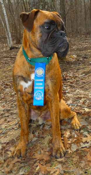 Arcas vom Norden, CGC